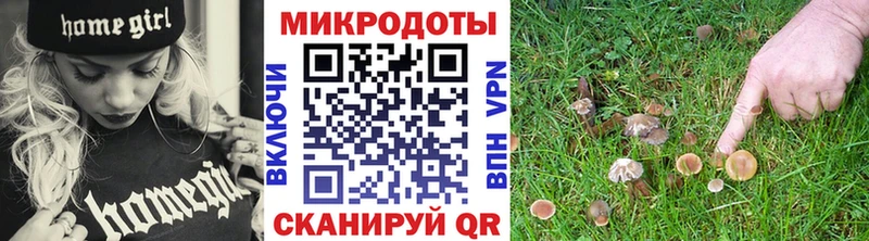 Псилоцибиновые грибы мицелий  Кремёнки 